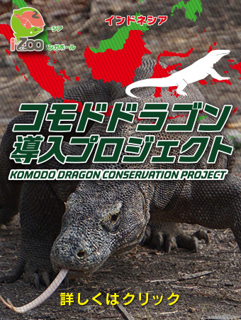コモドドラゴン導入プロジェクト